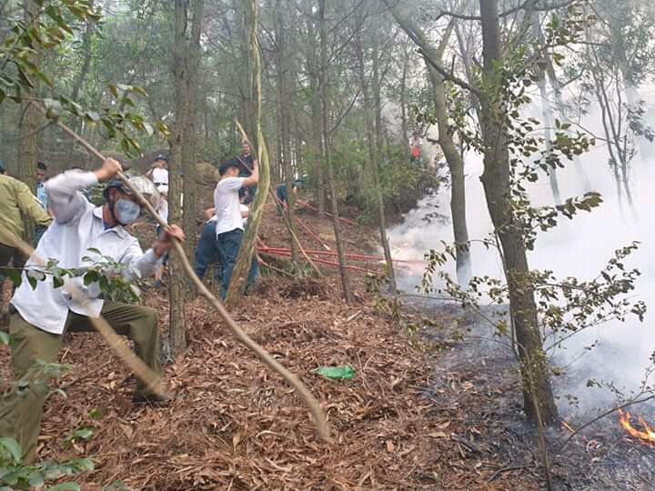 Gần 200 cán bộ, chiến sĩ Trung đoàn 284 tham gia giúp dân chữa cháy rừng