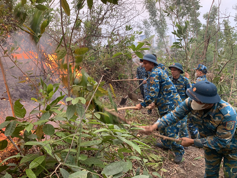 Cán bộ, chiến sĩ Trung đoàn 213 giúp nhân dân phường Bãi Cháy, TP Hạ Long, tỉnh Quảng Ninh chữa cháy rừng