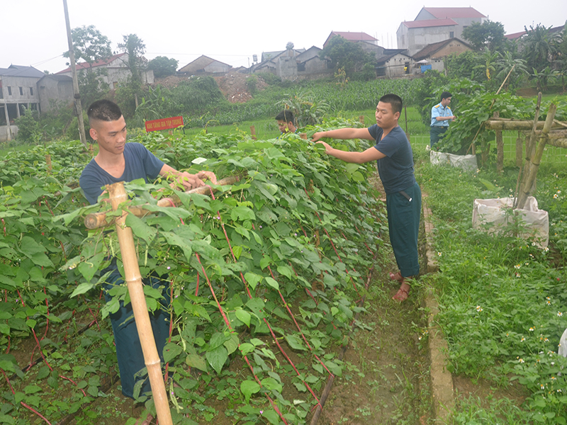 “Thực túc, binh cường” ở Trạm Ra đa 59