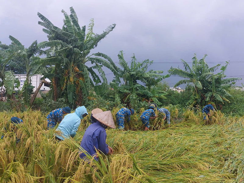 Các lực lượng của Quân chủng Phòng không - Không quân tham gia khắc phục hậu quả bão số 3