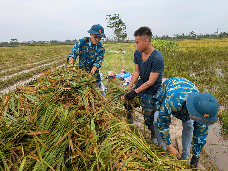 Tiểu đoàn 80, Trung đoàn 257 tích cực giúp nhân dân khắc phục hậu quả sau bão số 3