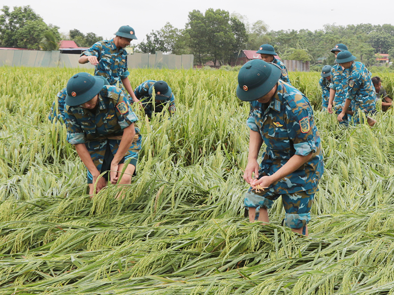 Các đơn vị trong Quân chủng Phòng không - Không quân tiếp tục cử lực lượng hỗ trợ nhân dân khắc phục hậu quả sau cơn bão số 3