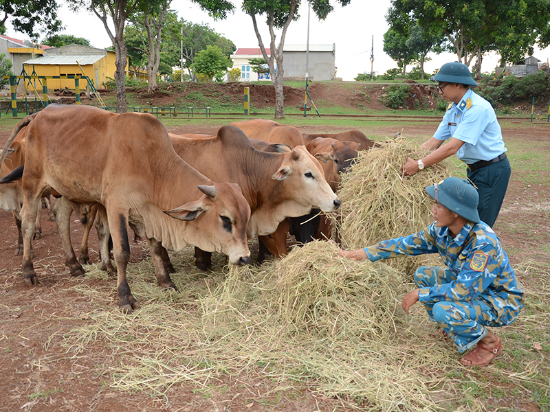 “Thực túc, binh cường” ở Trạm Ra đa 12