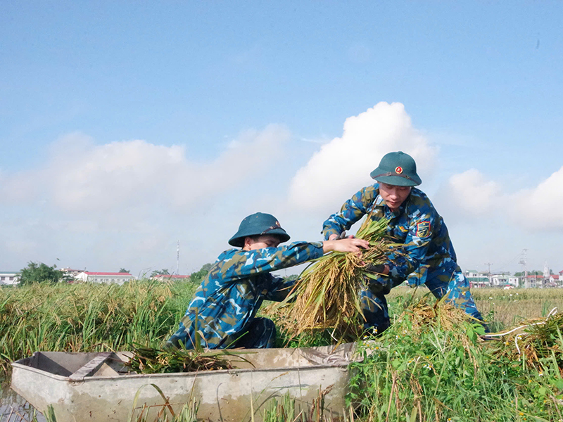 Bộ đội Phòng không - Không quân giúp dân khắc phục hậu quả bão số 10