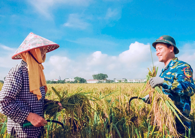 Bộ đội Phòng không - Không quân giúp dân khắc phục hậu quả bão số 10