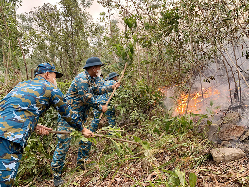 Trung đoàn 285 tham gia giúp dân chữa cháy rừng