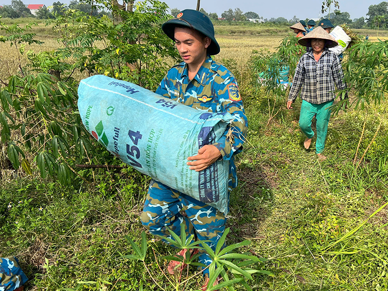 Bộ đội Phòng hóa 23, Bộ Tham mưu Phòng không - Không quân giúp nhân dân xã Sóc Sơn, TP Hà Nội thu hoạch lúa do ảnh hưởng của bão số 11