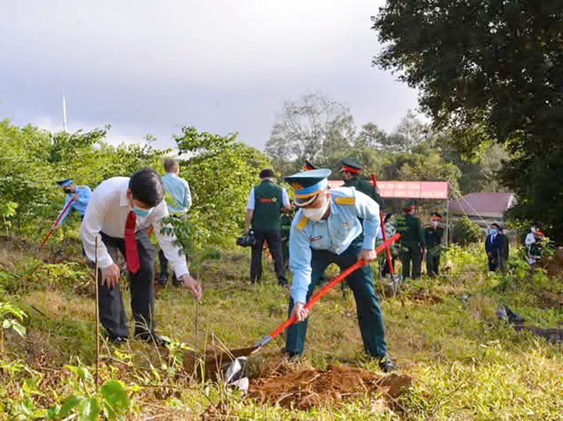 Trường Sĩ quan Không quân tổ chức “Tết trồng cây đời đời nhớ ơn Bác Hồ” Xuân Ất Tỵ - 2025