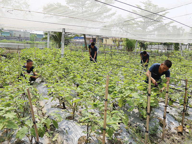 Tăng gia giỏi ở Tiểu đo&agrave;n 166