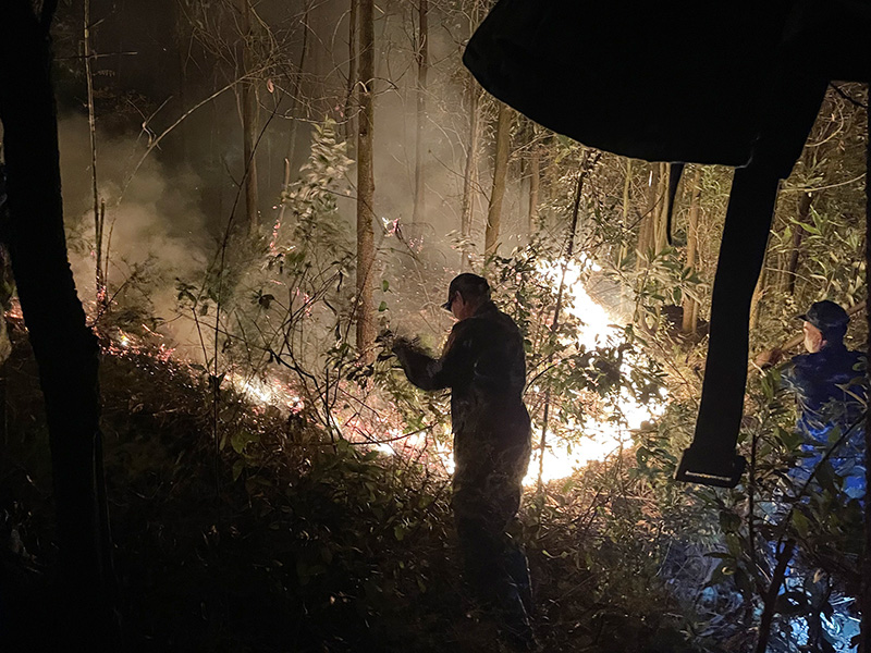 Cán bộ, chiến sĩ Trung đoàn 238 giúp dân chữa cháy rừng