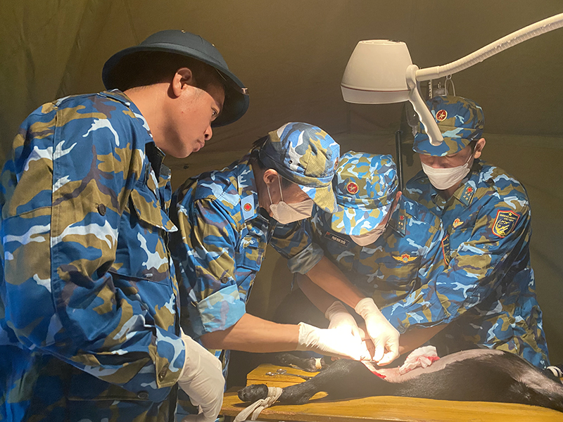 Viện Y học PK-KQ huấn luyện Đội phẫu thuật cứu chữa cơ bản năm 2023