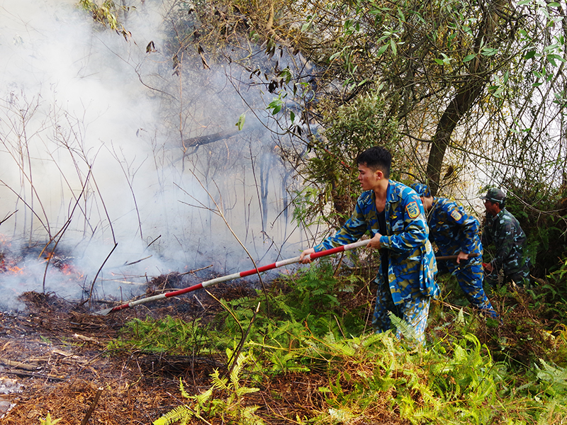 Cán bộ, chiến sĩ Sư đoàn 371 giúp dân chữa cháy rừng