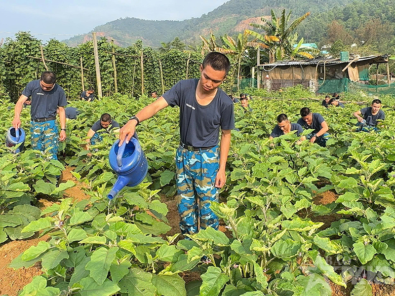 Sư đo&agrave;n 375 chủ động bảo đảm qu&acirc;n nhu, n&acirc;ng cao đời sống bộ đội