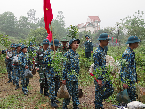 Sư đoàn 371 tham gia trồng cây bảo vệ rừng, bảo vệ môi trường