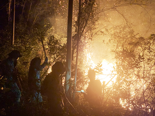 Cán bộ, chiến sĩ Tiểu đoàn 81 xuyên đêm giúp địa phương chữa cháy rừng
