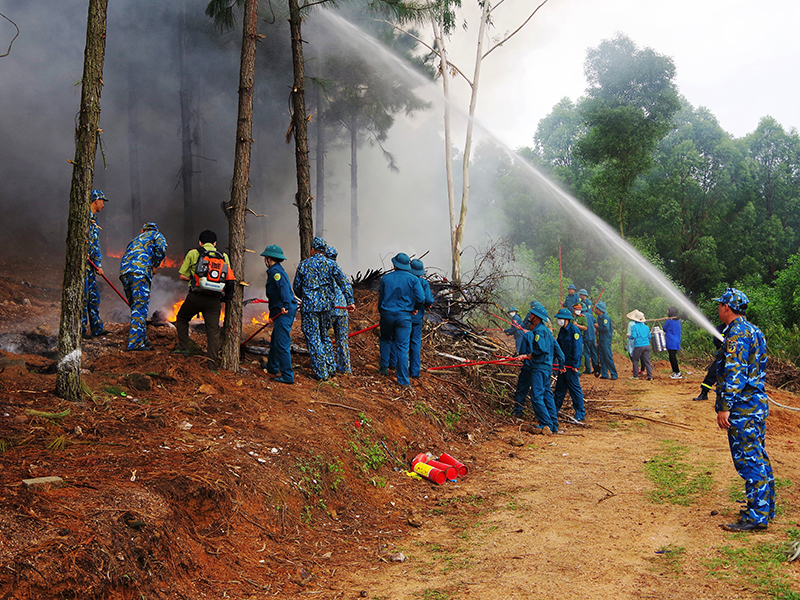Trung đoàn 284 tham gia diễn tập phòng cháy, chữa cháy rừng năm 2022