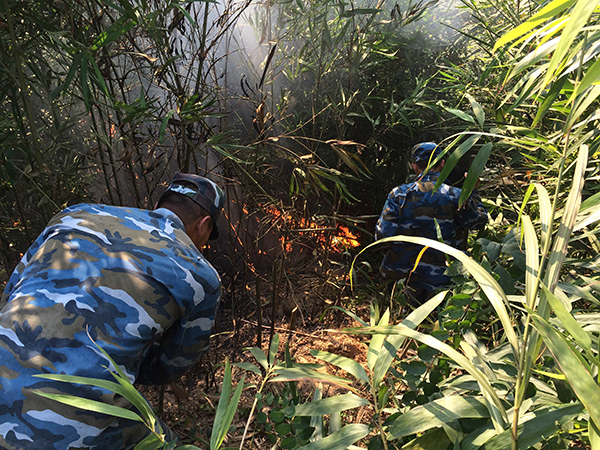 Bộ đội phòng không 363 dập lửa cứu rừng