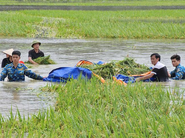 bo-doi-phong-khong-khong-quan-sat-canh-voi-nhan-dan-chong-lu