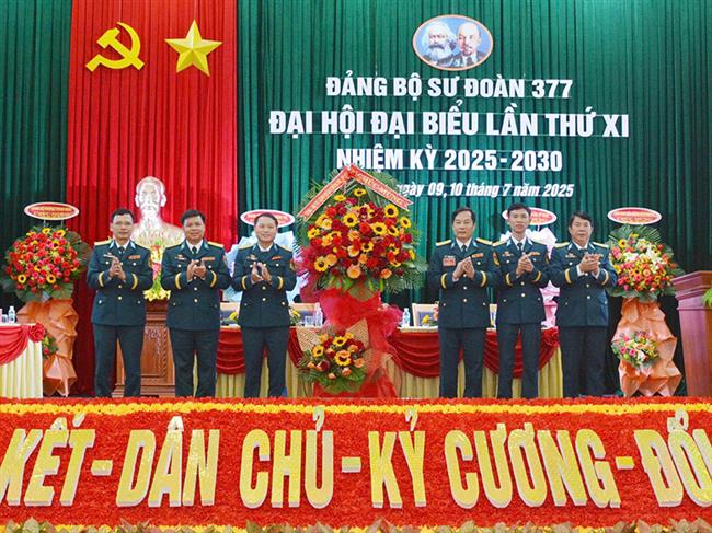 dang-bo-su-doan-377-to-chuc-thanh-cong-dai-hoi-dai-bieu-lan-thu-xi-nhiem-ky-2025-2030