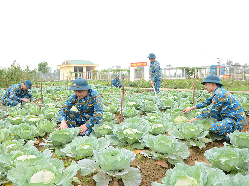 Tăng gia trên miền đất cát
