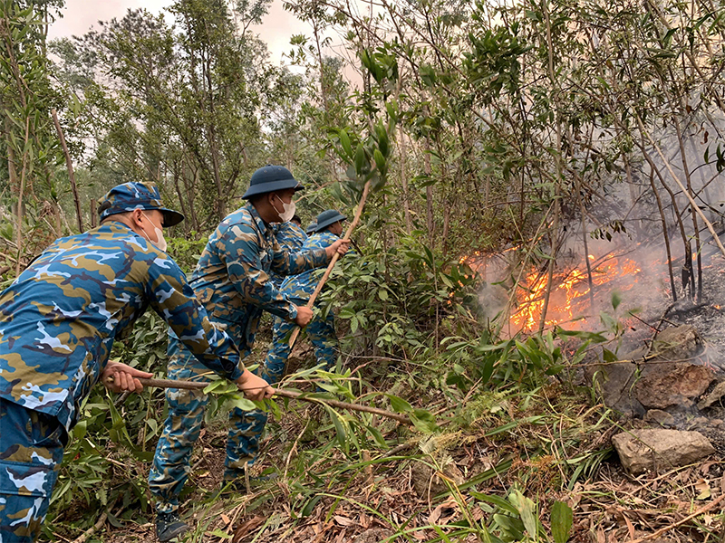 Bộ đội Sư đo&agrave;n 363 kịp thời dập tắt ch&aacute;y rừng tr&ecirc;n đồi Cột Cờ