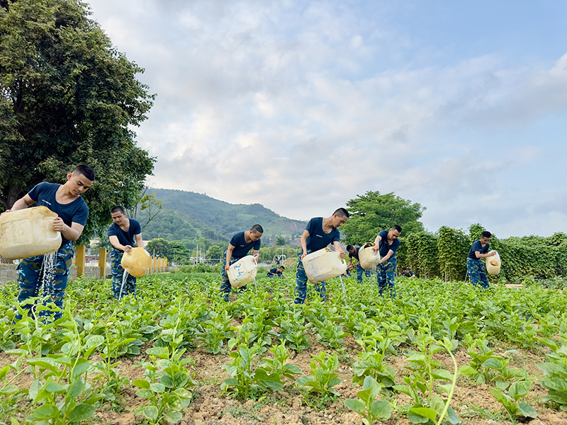 Hiệu quả từ tăng gia ở Tiểu đo&agrave;n huấn luyện chiến sĩ mới
