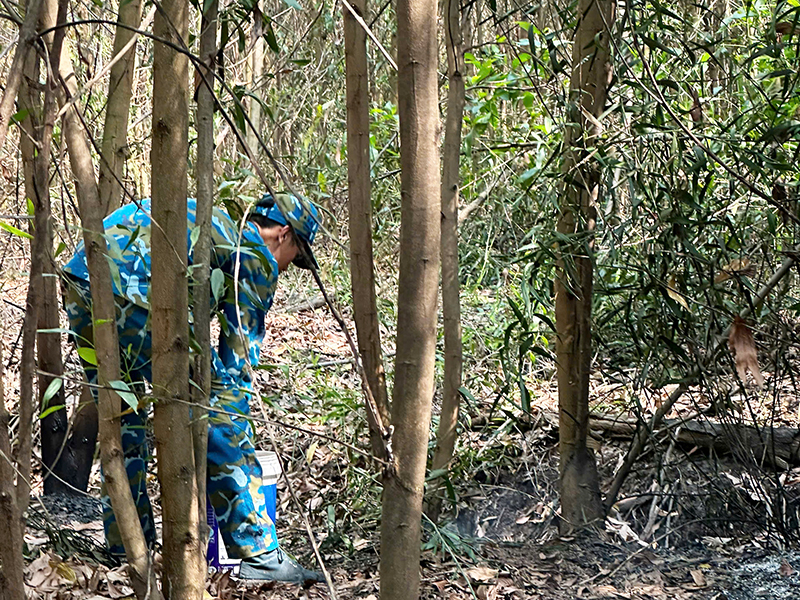 C&aacute;n bộ, Chiến sĩ Trung đo&agrave;n 278 tham gia chữa ch&aacute;y rừng tr&ecirc;n địa b&agrave;n x&atilde; Long Phước