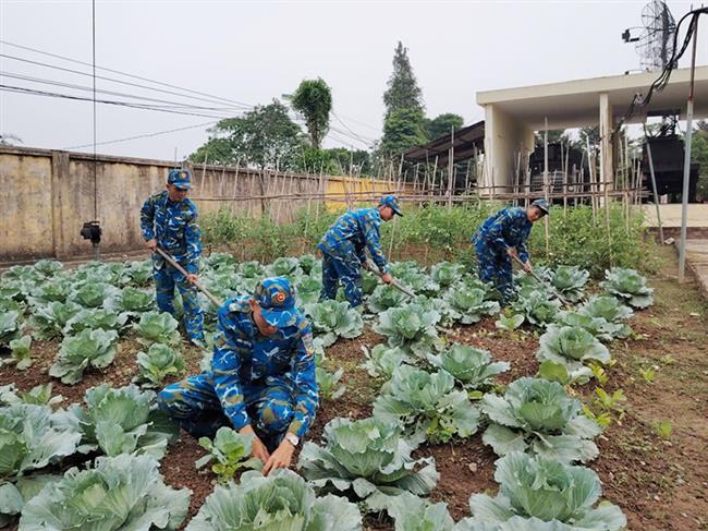 day-manh-tang-gia-chan-nuoi-o-tieu-doan-77