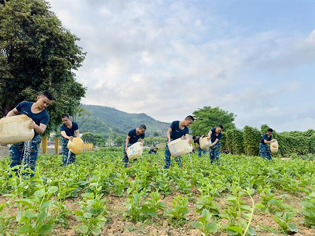 hieu-qua-tu-tang-gia-o-tieu-doan-huan-luyen-chien-si-moi