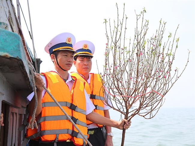 mang-mua-xuan-den-voi-cac-dao-tay-nam-cua-to-quoc