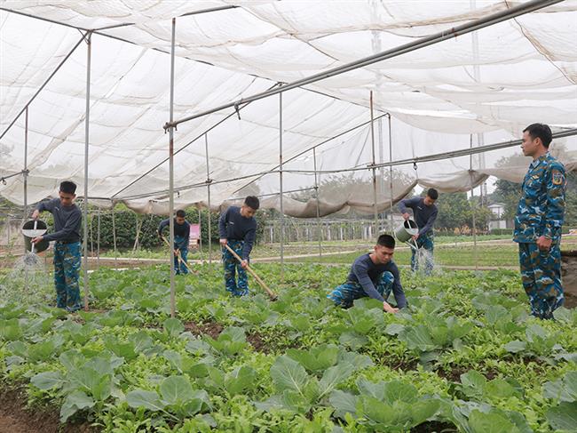 tang-gia-chan-nuoi-gioi-nang-cao-doi-song-bo-doi