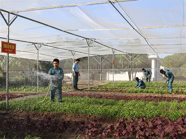 tang-gia-chan-nuoi-tren-dao-xa