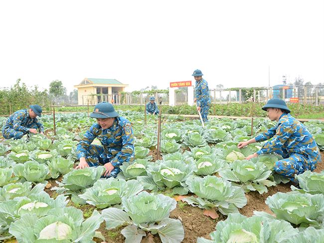 tang-gia-tren-mien-dat-cat